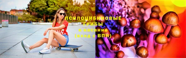 МДПВ Дмитриев