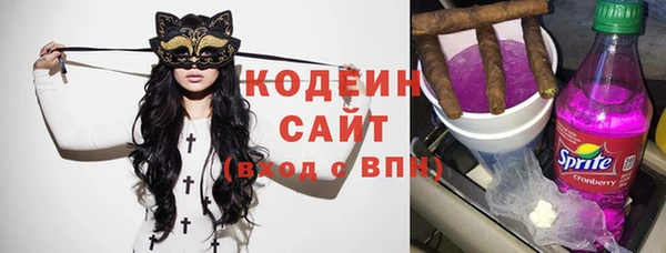 МДПВ Дмитриев