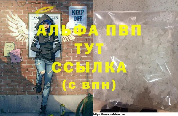 МДПВ Дмитриев