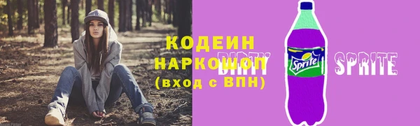 МДПВ Дмитриев