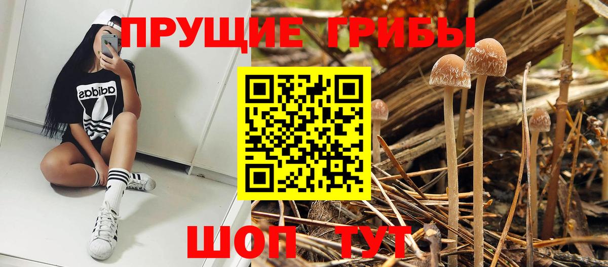 Галлюциногенные грибы прущие грибы  Галлюциногенные грибы мицелий  Вход с VPN  Рязань 