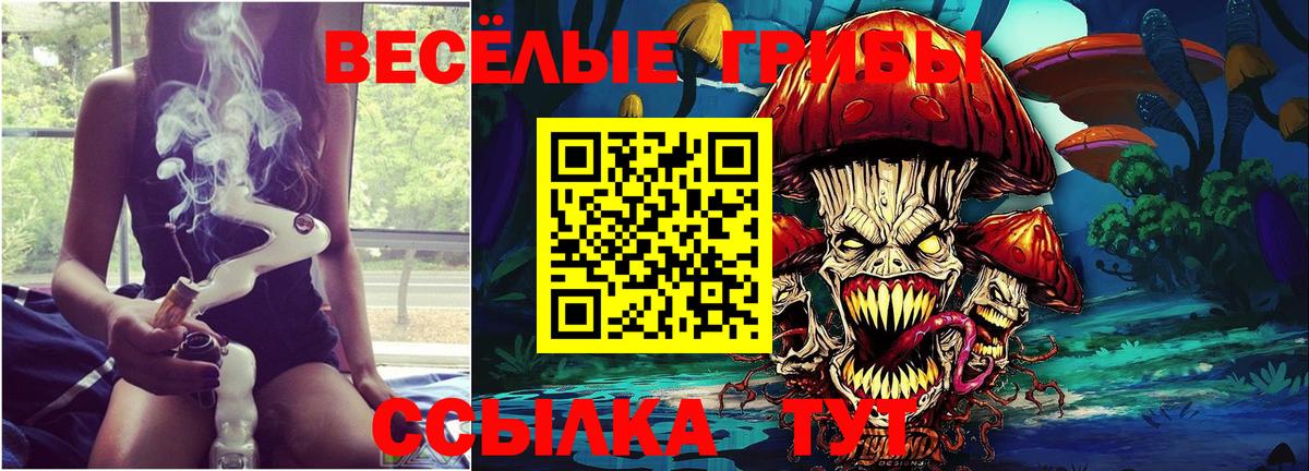 Псилоцибиновые грибы Cubensis Рязань